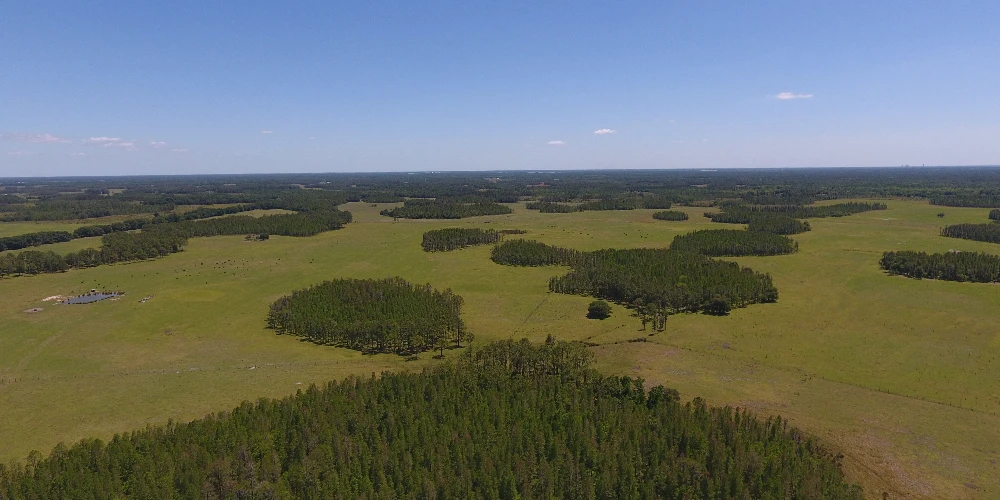 JEH Ranch