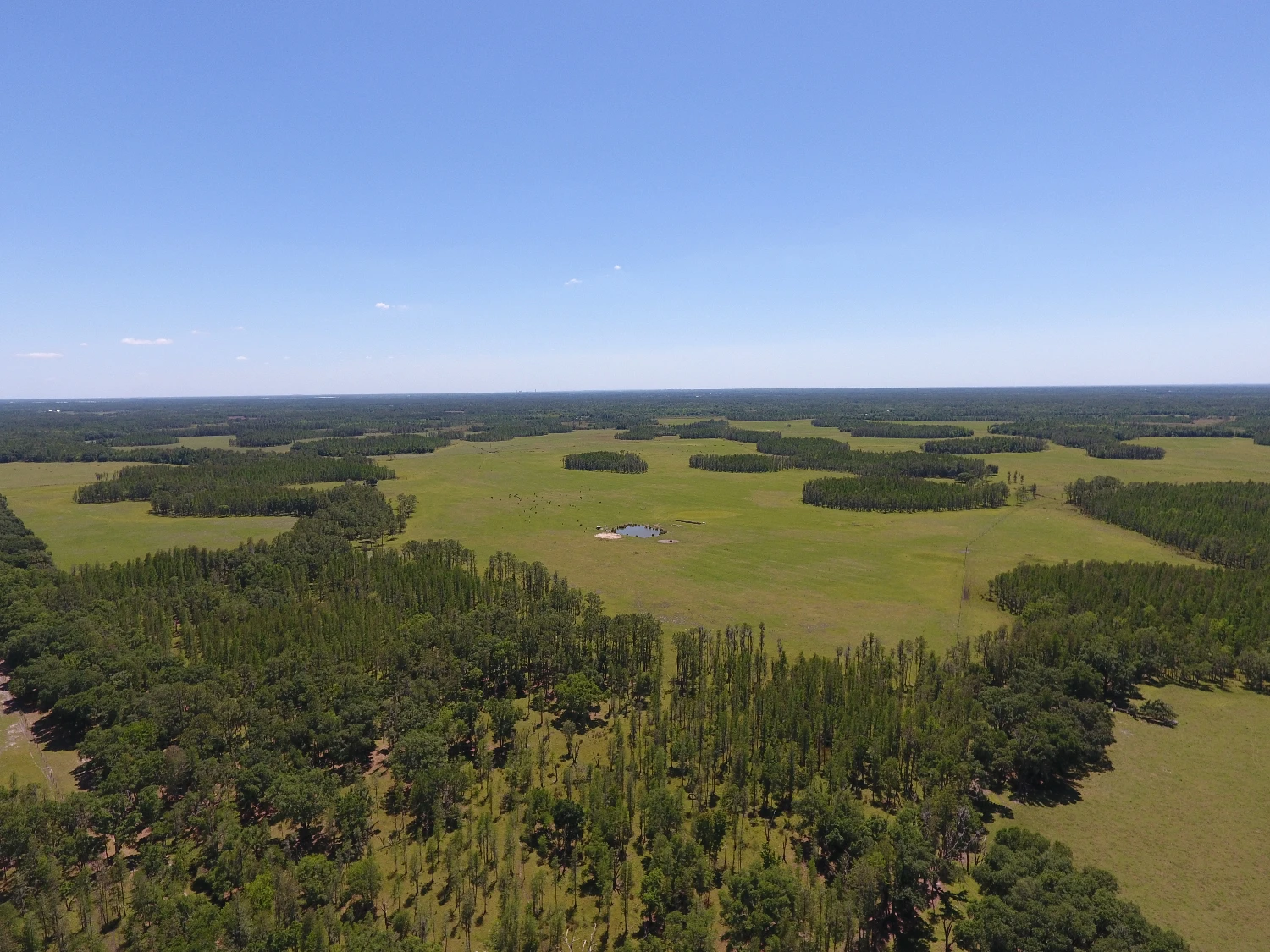 JEH Ranch