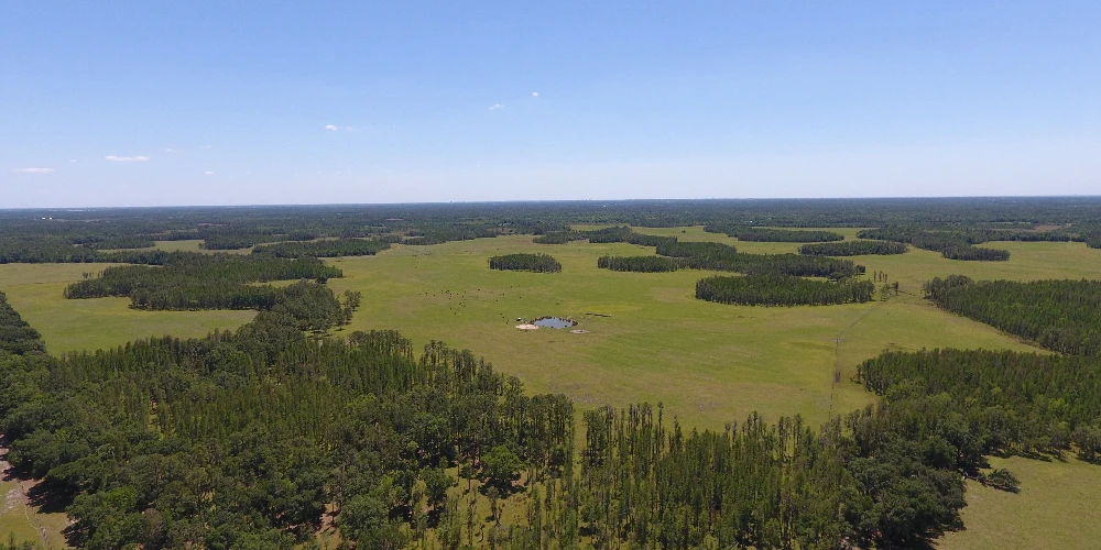 JEH Ranch