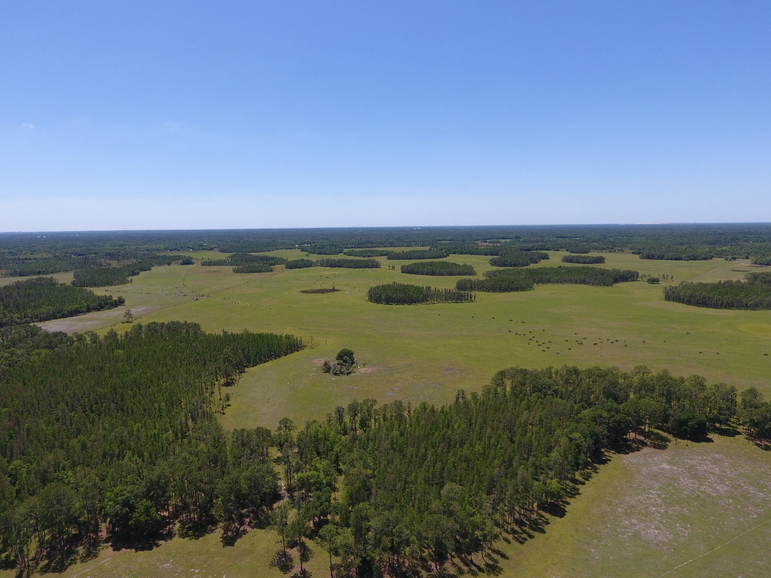 JEH Ranch