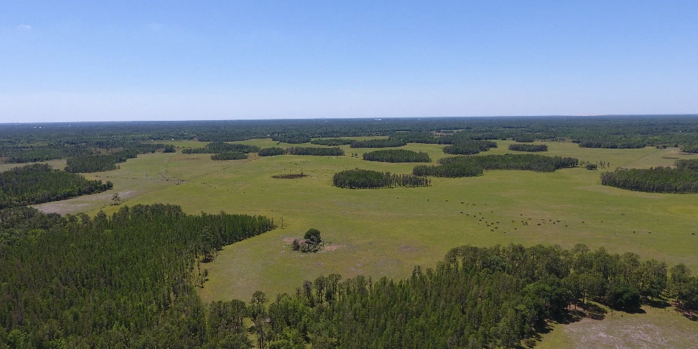 JEH Ranch