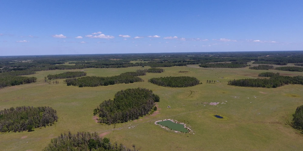 JEH Ranch