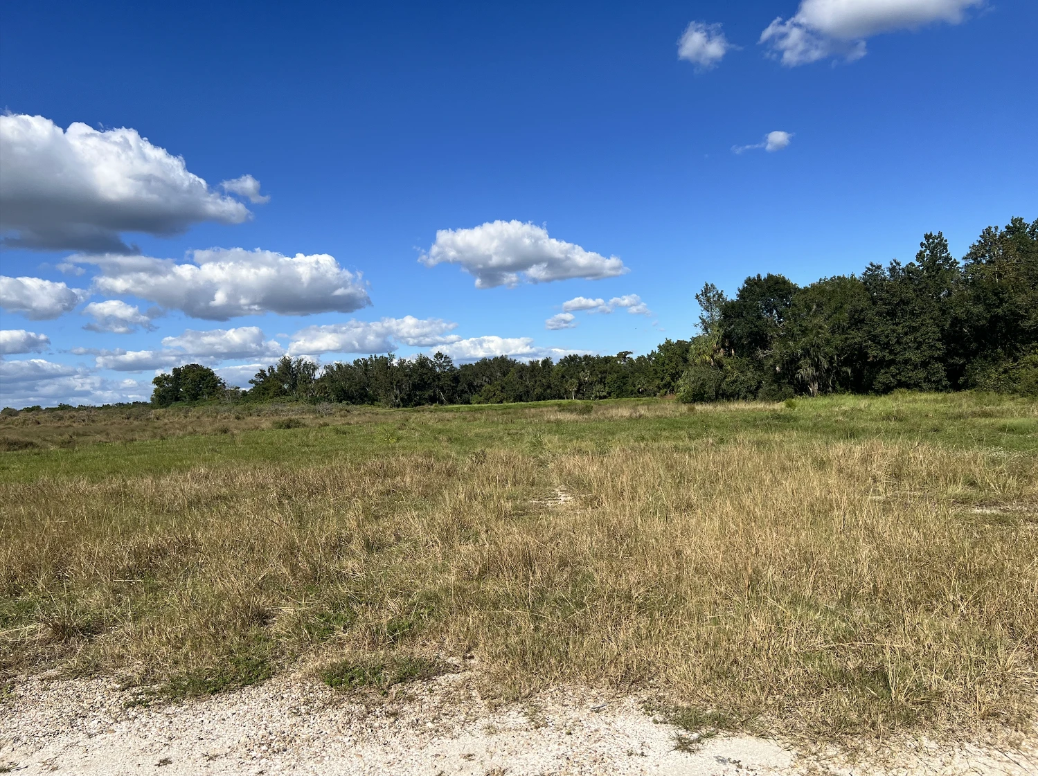 Peace River Mixed-Use Development Tract — 114± Acres | 18± AC Commercial | 2,179′ on SR-64