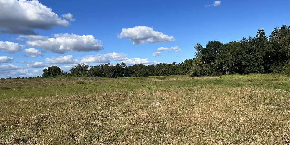 Peace River Mixed-Use Development Tract — 114± Acres | 18± AC Commercial | 2,179′ on SR-64