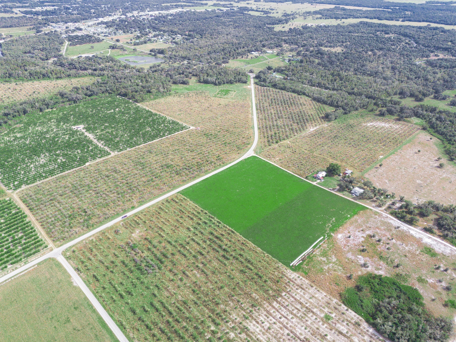 Peace River Mixed-Use Development Tract — 114± Acres | 18± AC Commercial | 2,179′ on SR-64