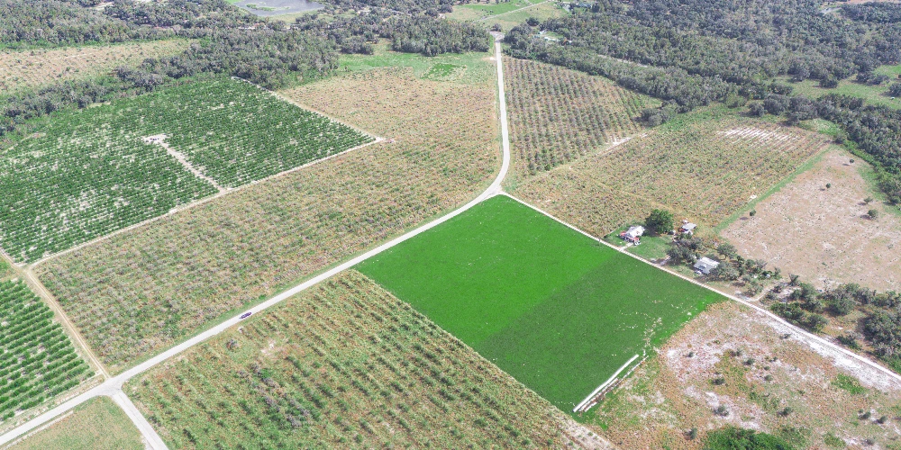 Peace River Mixed-Use Development Tract — 114± Acres | 18± AC Commercial | 2,179′ on SR-64