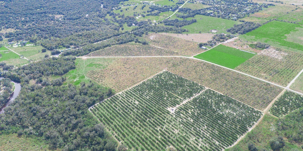 Peace River Mixed-Use Development Tract — 114± Acres | 18± AC Commercial | 2,179′ on SR-64