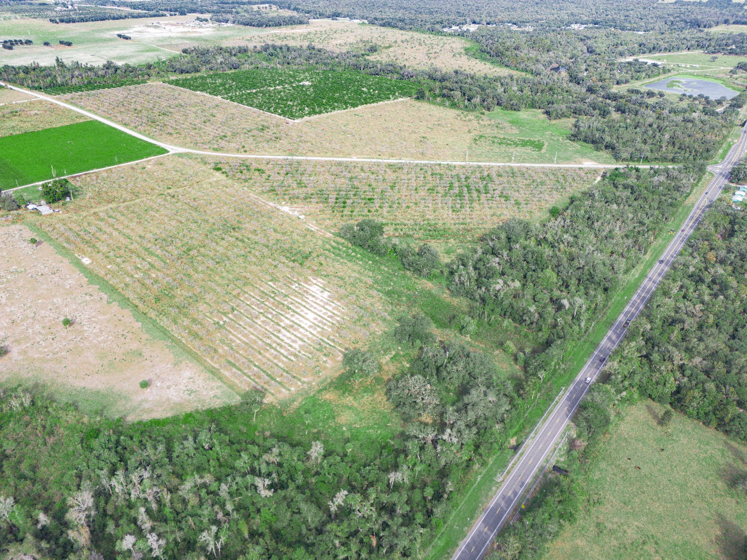 Peace River Mixed-Use Development Tract — 114± Acres | 18± AC Commercial | 2,179′ on SR-64