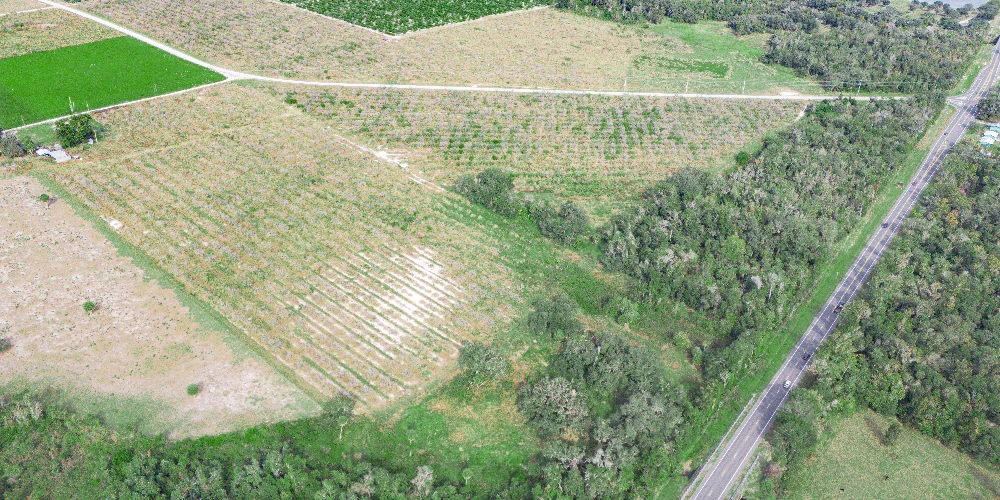 Peace River Mixed-Use Development Tract — 114± Acres | 18± AC Commercial | 2,179′ on SR-64