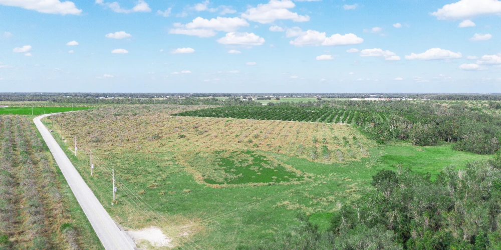 Peace River Mixed-Use Development Tract — 114± Acres | 18± AC Commercial | 2,179′ on SR-64