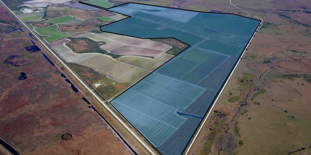 ±742.87 Acres | Osceola County, FL – Scalable Farm with Ranch History, Wildlife & No Conservation Easement