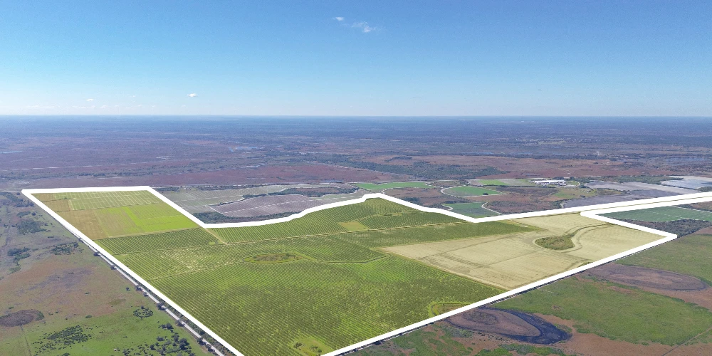 ±742.87 Acres | Osceola County, FL – Scalable Farm with Ranch History, Wildlife & No Conservation Easement