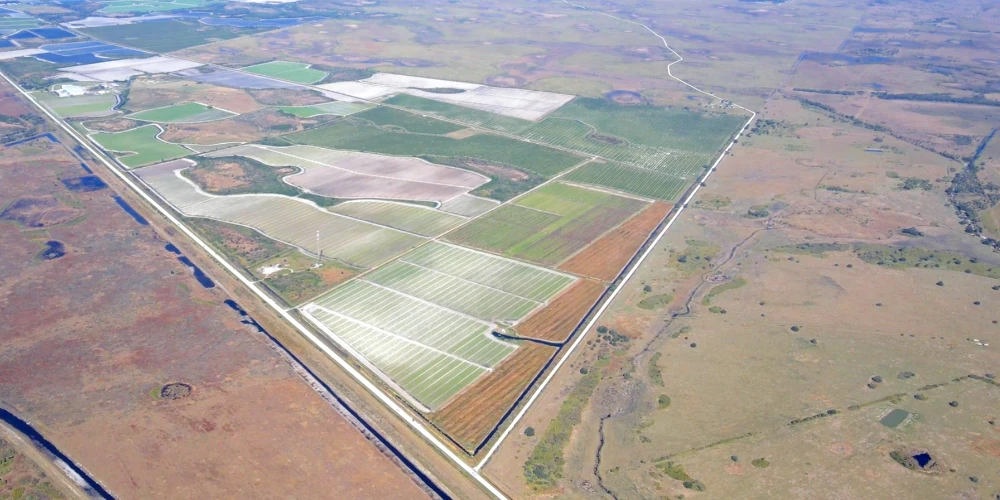 ±742.87 Acres | Osceola County, FL – Scalable Farm with Ranch History, Wildlife & No Conservation Easement