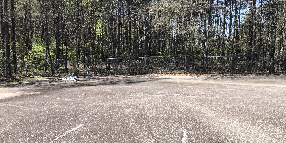 25 Goss Road, Hampton, GA for sale
