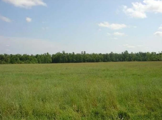 Erie Avenue & Wurlitzer Dr - 1.50+/- Acres