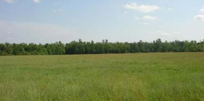 Erie Avenue & Wurlitzer Dr - 1.50+/- Acres