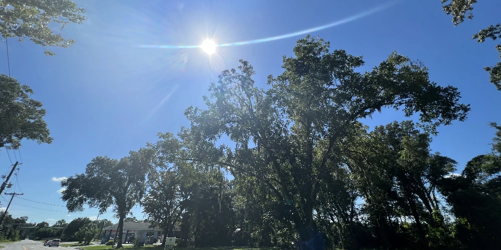 Land For Sale - 940 NE 35th St. 