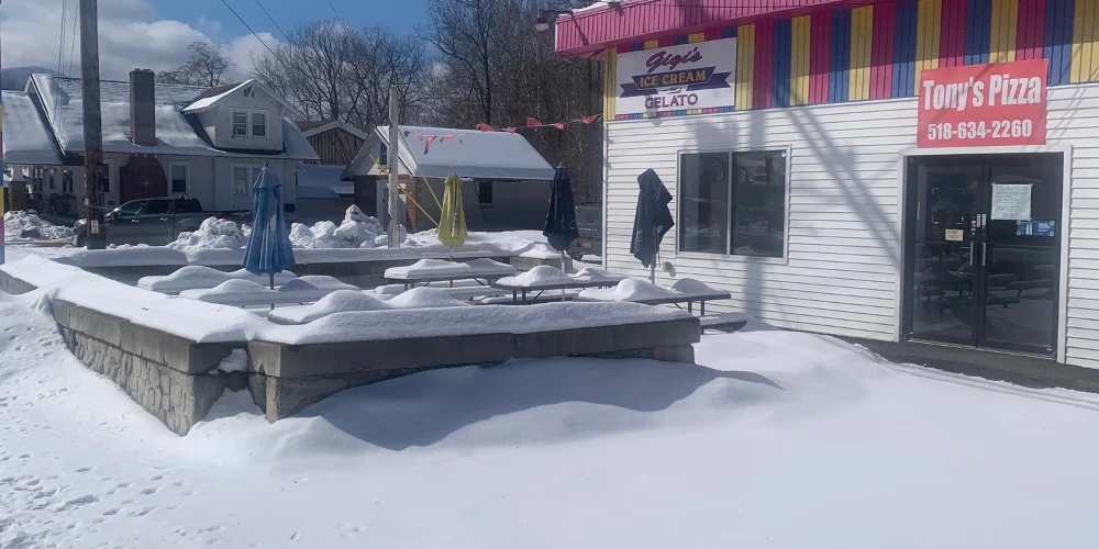 9495 Route 32, Freehold, NY for sale