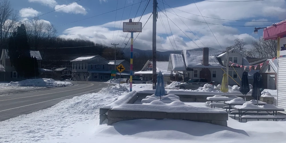 9495 Route 32, Freehold, NY for sale