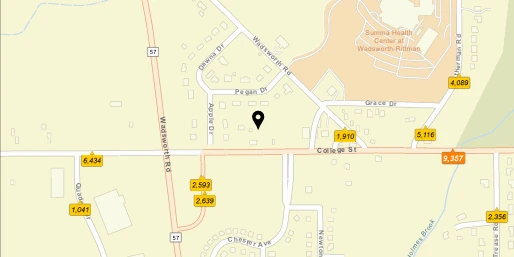 2.85 Acres at College St, Wadsworth