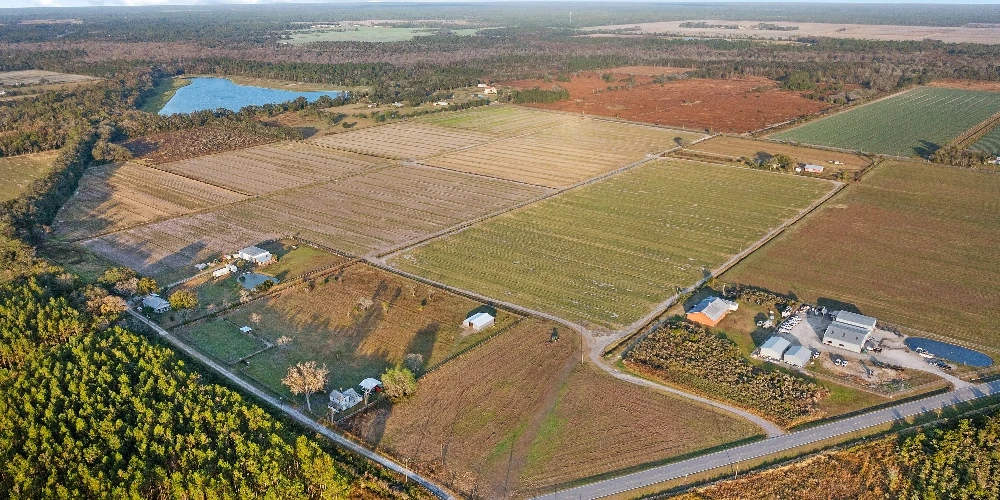 7120 County Road 13 South, Hastings, FL for sale