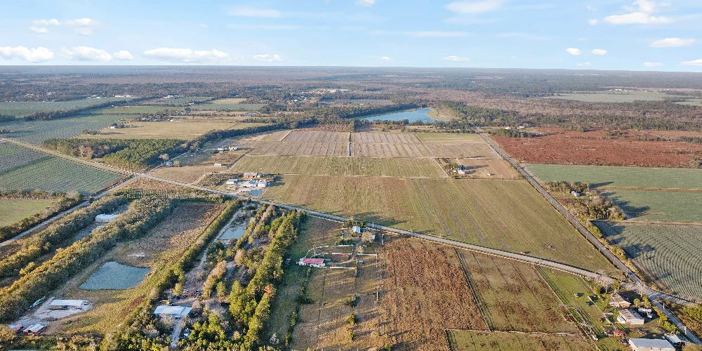 7120 County Road 13 South, Hastings, FL for sale
