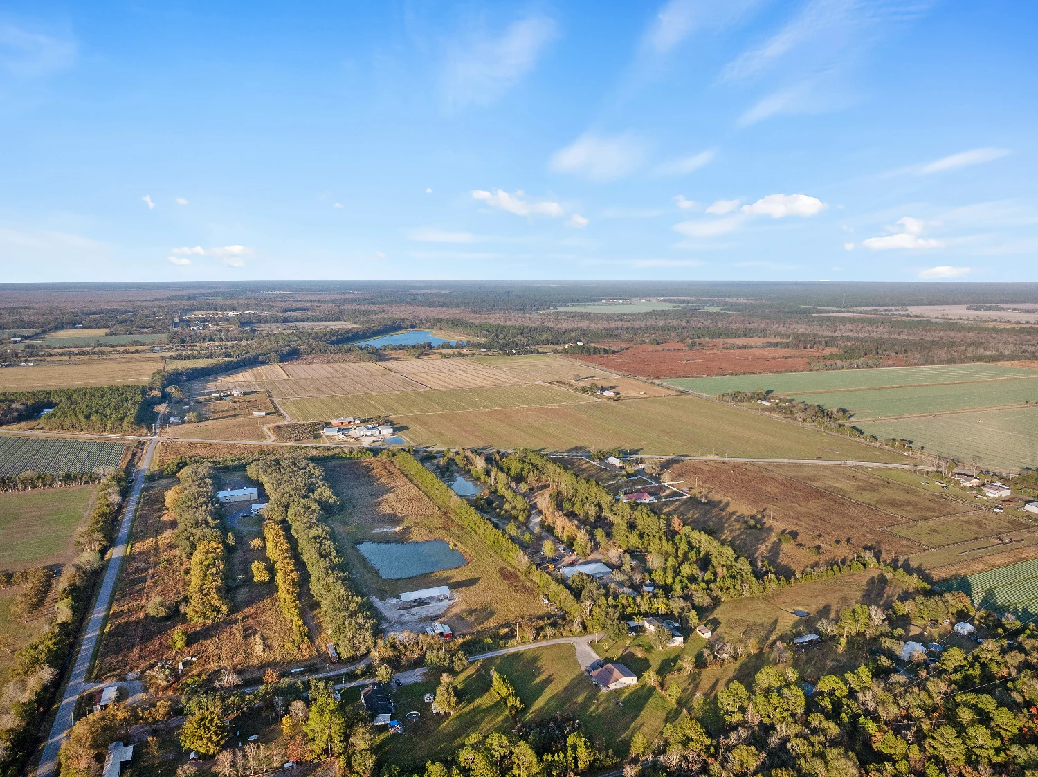 7120 County Road 13 South, Hastings, FL for sale