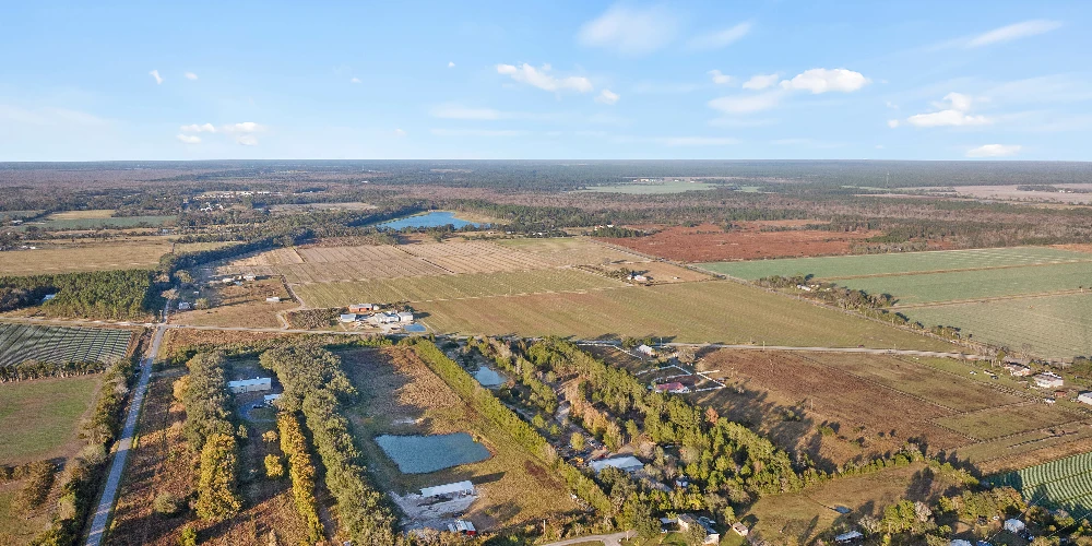 7120 County Road 13 South, Hastings, FL for sale