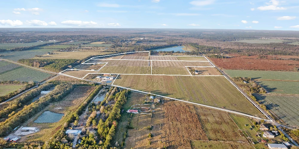 7120 County Road 13 South, Hastings, FL for sale
