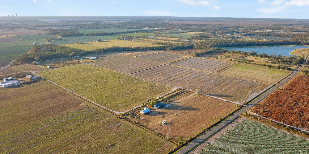 7120 County Road 13 South, Hastings, FL for sale