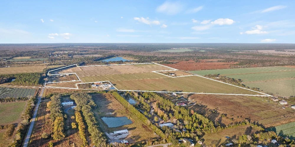 7120 County Road 13 South, Hastings, FL for sale