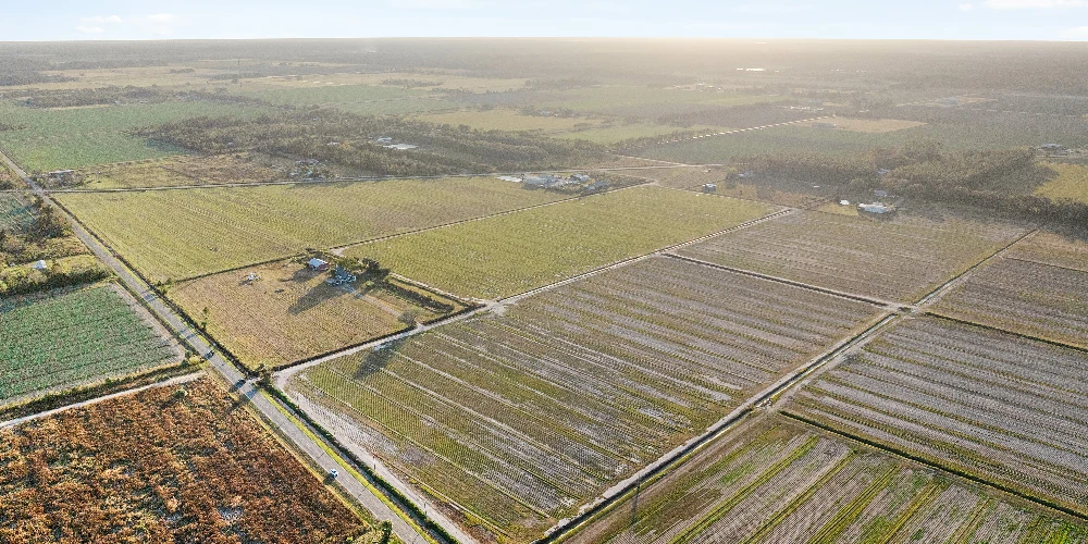 7120 County Road 13 South, Hastings, FL for sale