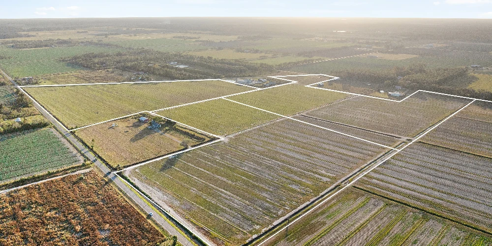 7120 County Road 13 South, Hastings, FL for sale