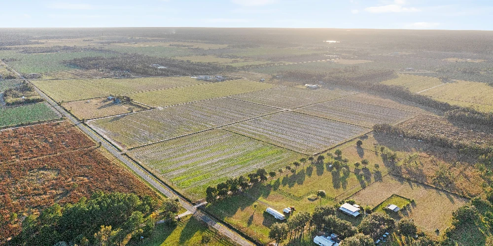 7120 County Road 13 South, Hastings, FL for sale