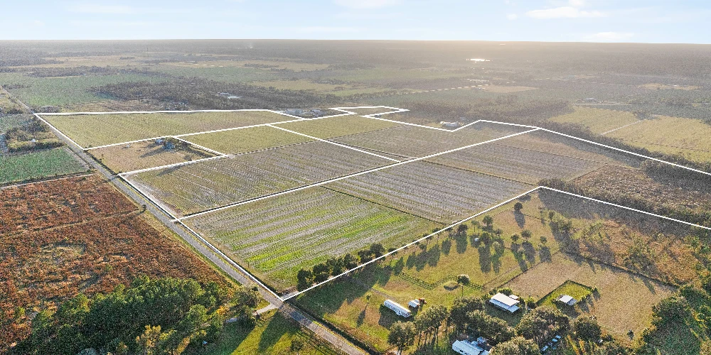 7120 County Road 13 South, Hastings, FL for sale