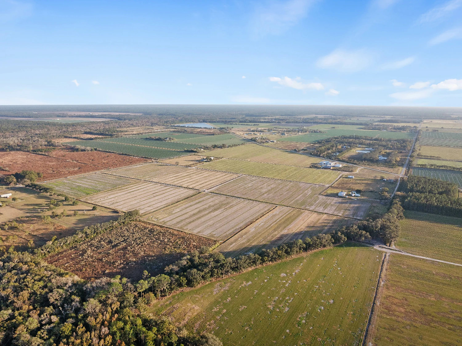 7120 County Road 13 South, Hastings, FL for sale