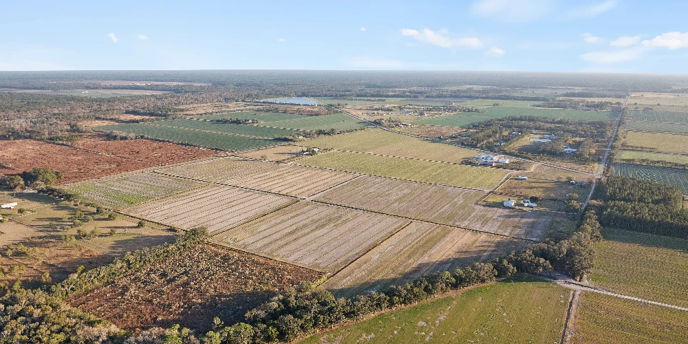 7120 County Road 13 South, Hastings, FL for sale