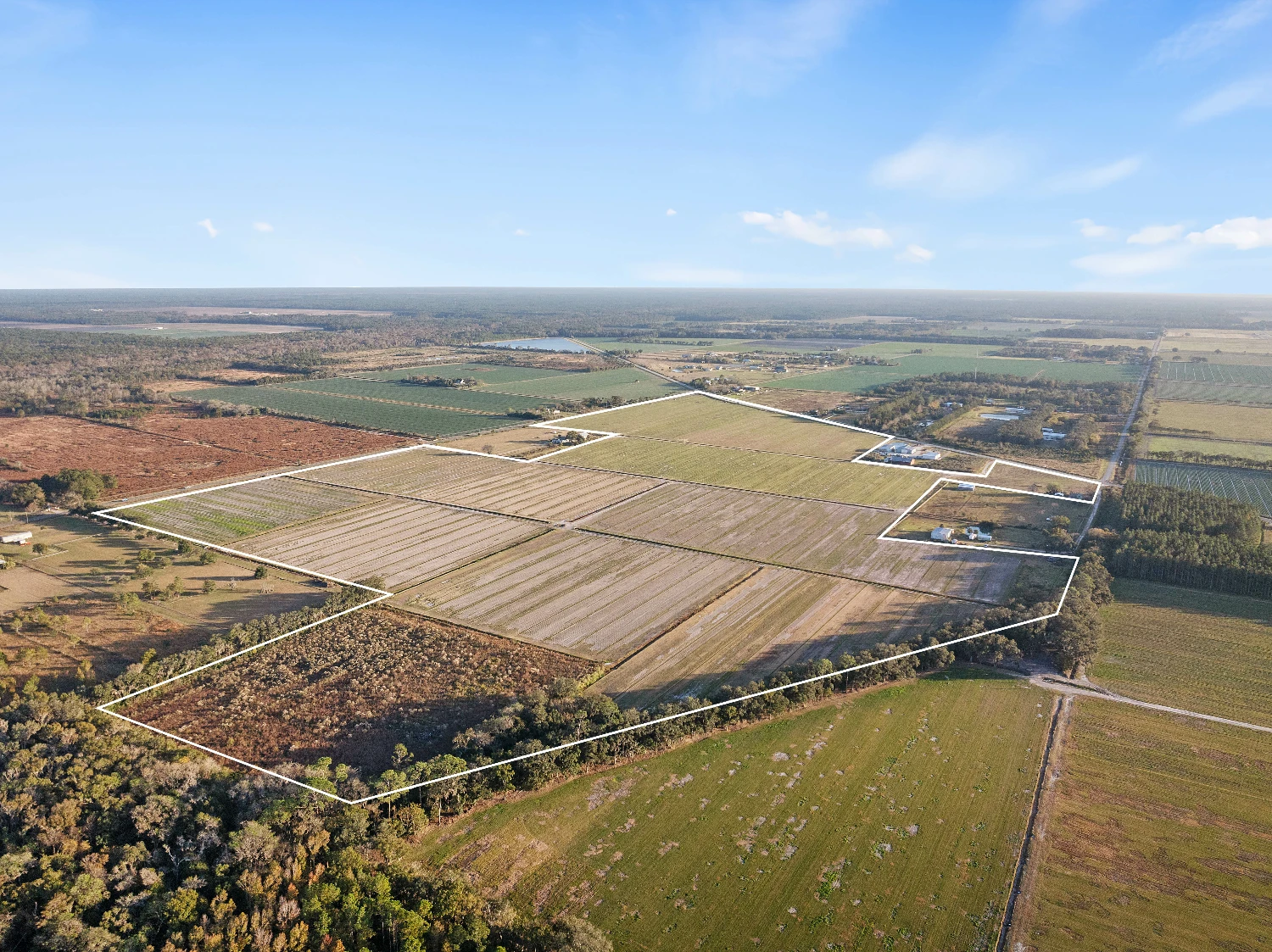 7120 County Road 13 South, Hastings, FL for sale