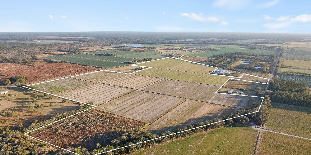 7120 County Road 13 South, Hastings, FL for sale