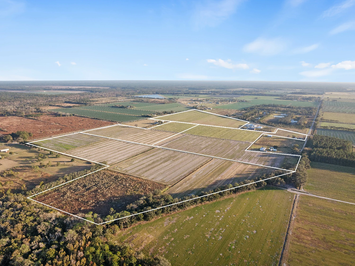 7120 County Road 13 South, Hastings, FL for sale