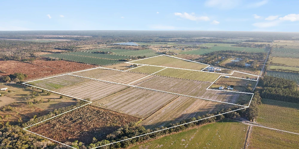 7120 County Road 13 South, Hastings, FL for sale