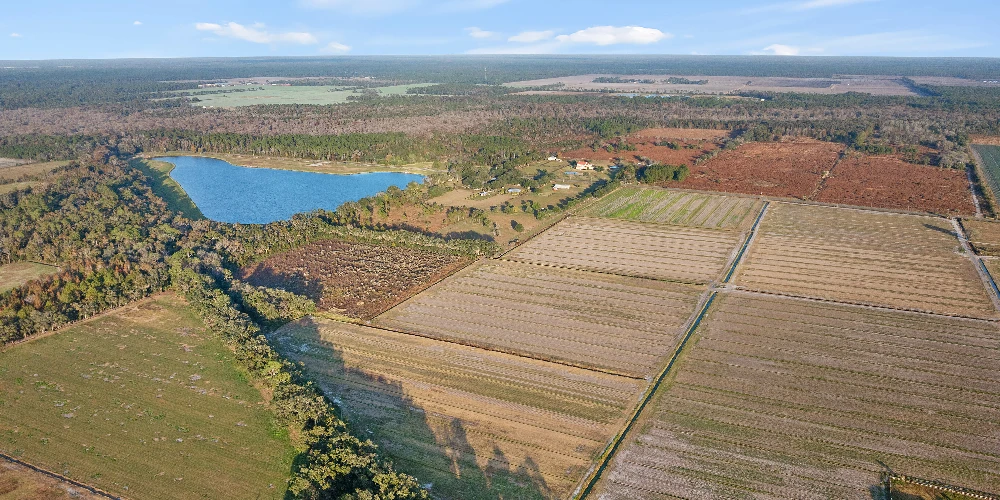 7120 County Road 13 South, Hastings, FL for sale