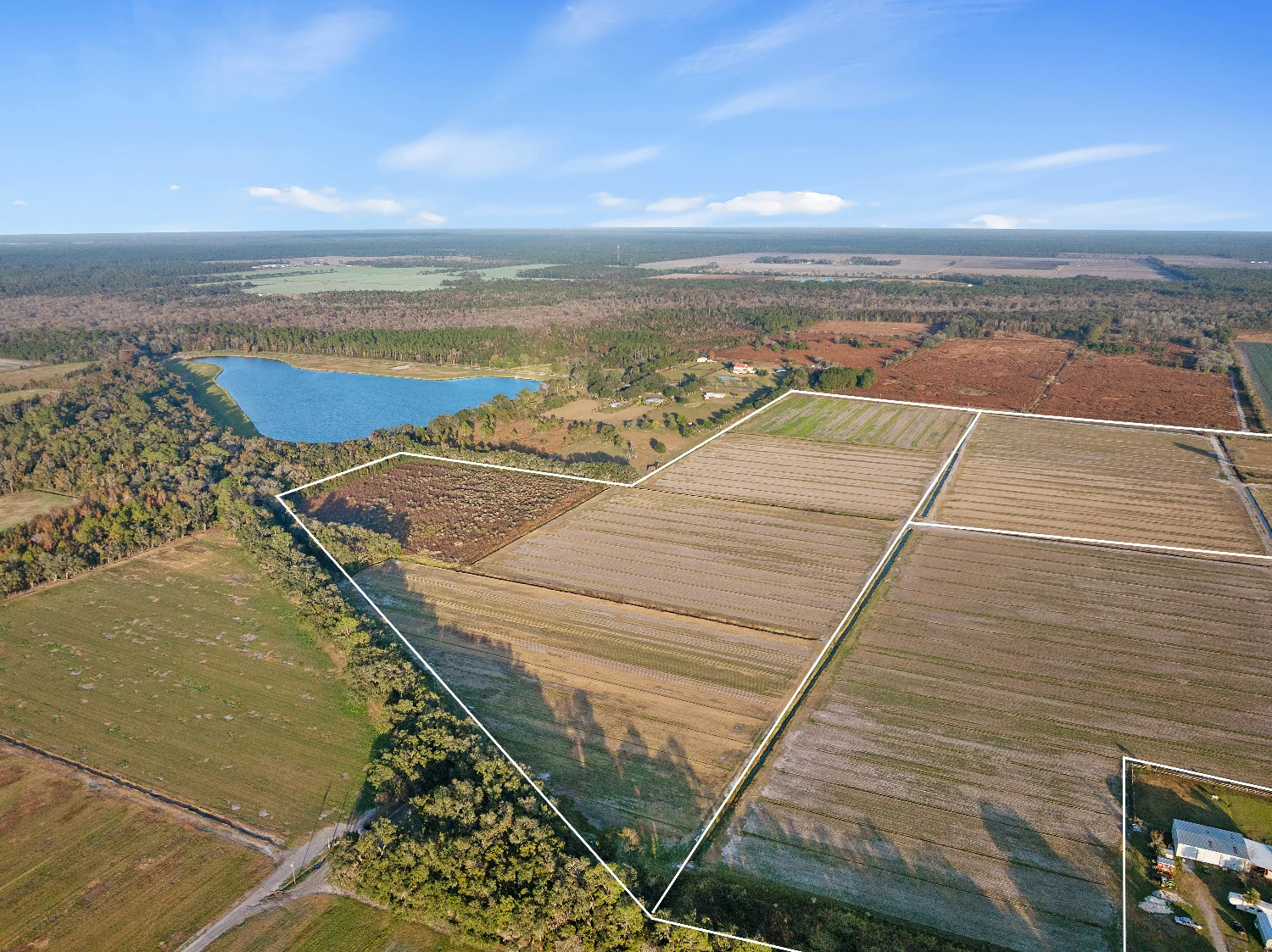 7120 County Road 13 South, Hastings, FL for sale