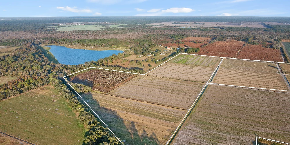 7120 County Road 13 South, Hastings, FL for sale