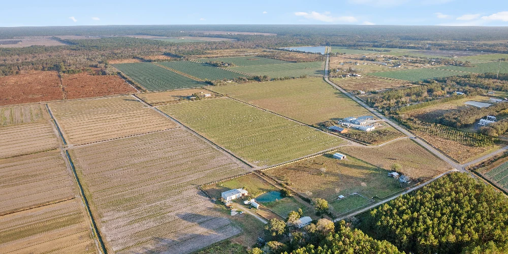 7120 County Road 13 South, Hastings, FL for sale