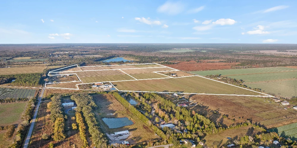 7120 County Road 13 South, Hastings, FL for sale