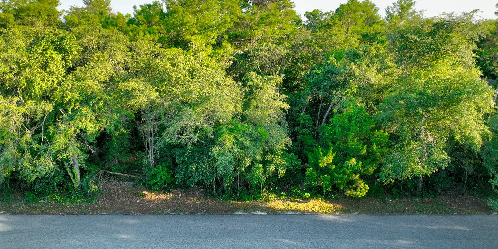 Professional Office Site in St. Johns Medical Park