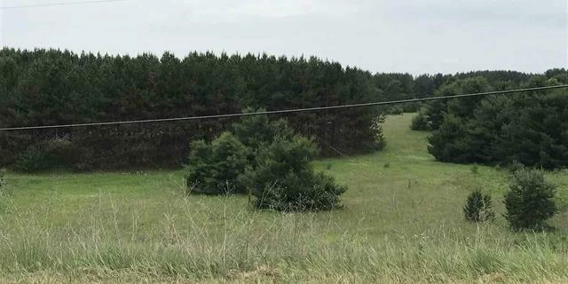 Prime 72-Acre Development Opportunity Bordering City of Cadillac & Evergreen Golf Course