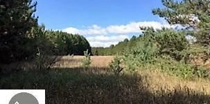 Prime 72-Acre Development Opportunity Bordering City of Cadillac & Evergreen Golf Course