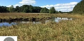Prime 72-Acre Development Opportunity Bordering City of Cadillac & Evergreen Golf Course